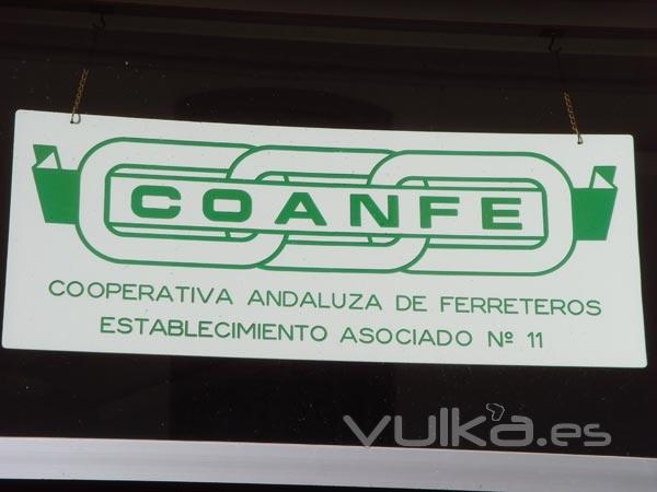 Logo Coanfe