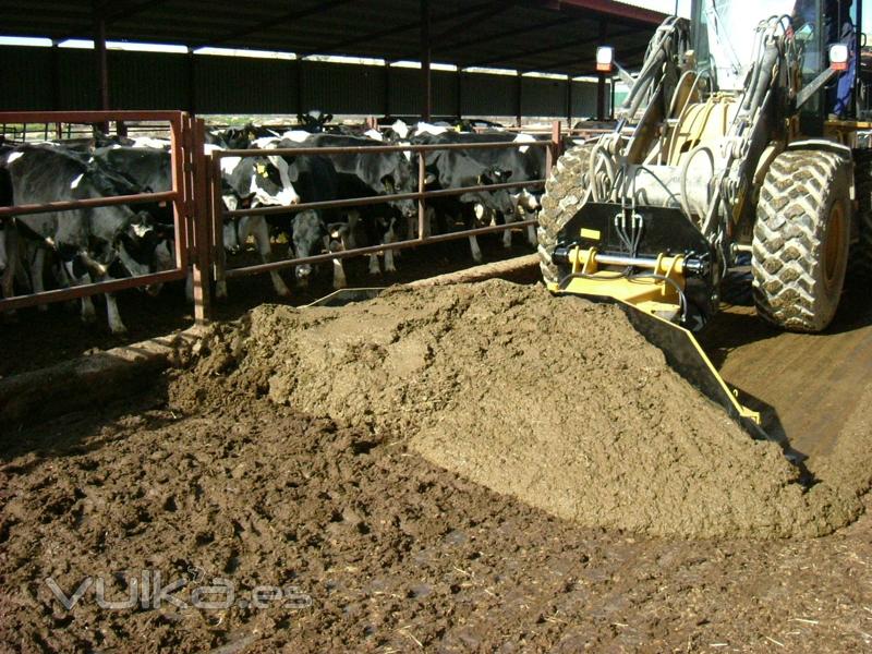 Rasqueta granja de vacas