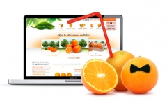 Web naranjas orbe