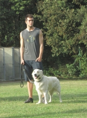 Familiaris11 ensinistrament cani - foto 16