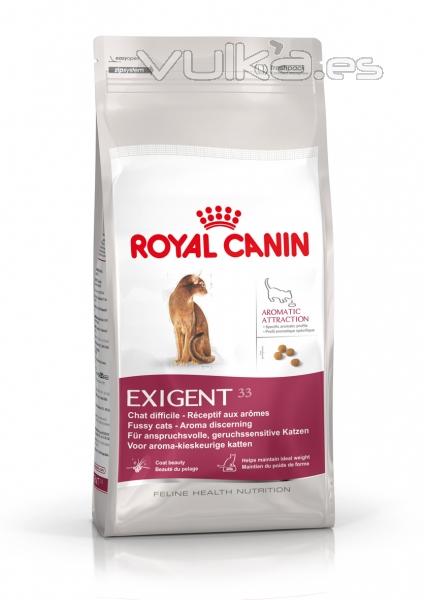 Royal canin,pienso para gatos