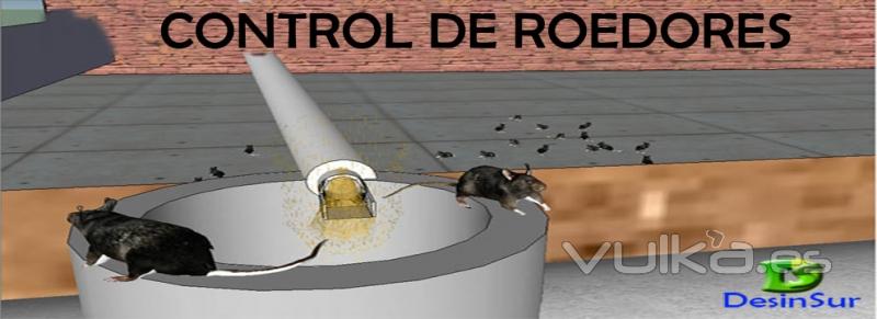 Control de roedores