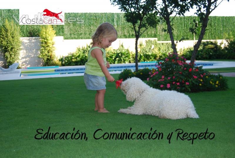 Educacin, Comunicacin y Respeto