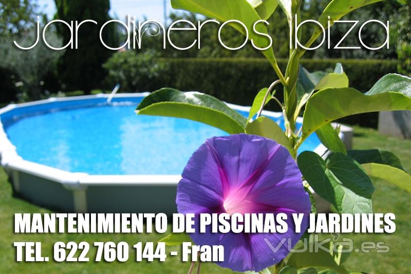 servicios  de jardineria ibiza