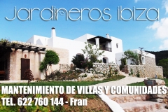Mantenimento ibiza jardines piscinas casas villas