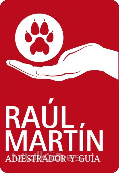 Raúl Martín Molina