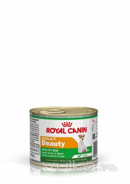 Royal canin comida humeda para perro