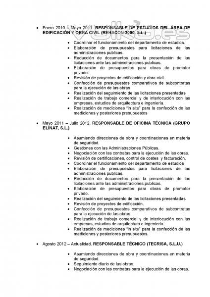 CURRICULUM VITAE 4