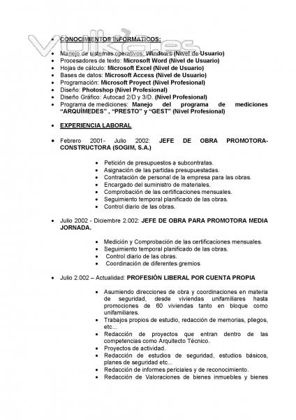 CURRICULUM VITAE 2