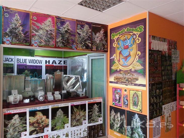 EL MATOLL GROW SHOP