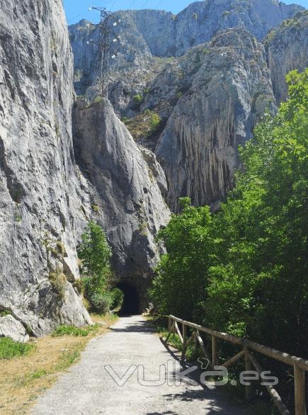 Casa rural cerca de la Senda del Oso, ideal senderismo y paseos en bicicleta