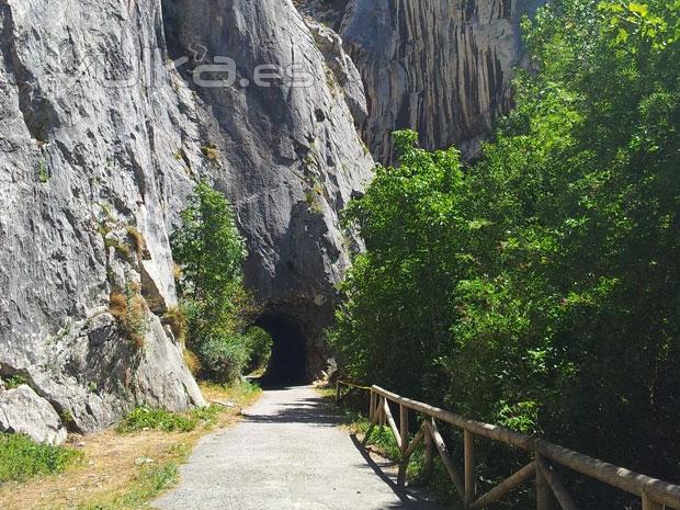 Casa rural muy cerca de la Senda del Oso, Asturias ideal senderismo y paseos en bicicleta