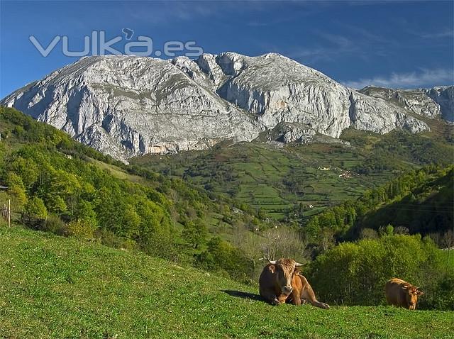 Casa rural en Parque Natural Ubias-La Mesa, Asturias