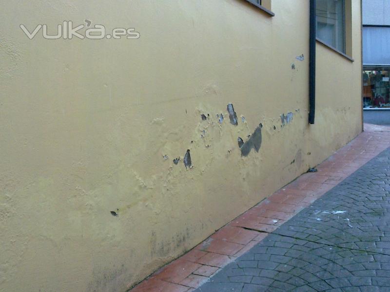 efecto de la capilaridad en edificio