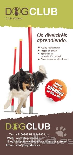 club de socializacin canina y agility recreacional