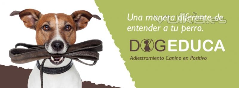 Adiestramiento canino en positivo Madrid. Descubre una forma diferente de entender a tu perro