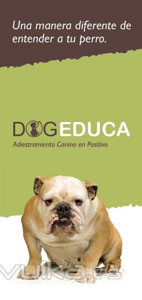Educacin canina, preadiestramiento de cachorros y otros servicios en modificacin de conducta
