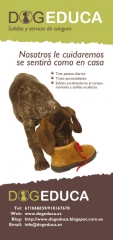 Servicio de guardería y alojamiento canino en Madrid