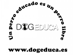 DogEduca adiestramiento canino y otros servicios en Madrid