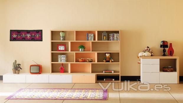 Muebles juveniles modernos con los muebles de Life Box