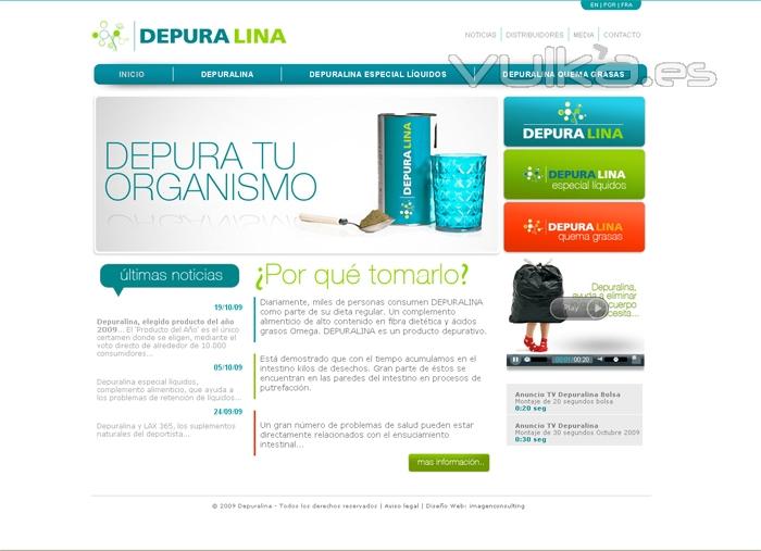 Diseño Web Depuralina.com - Madrid