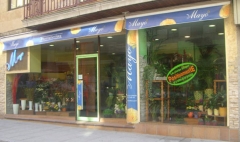 Foto 21 empresas de servicios en Salamanca - Floristera Mayo