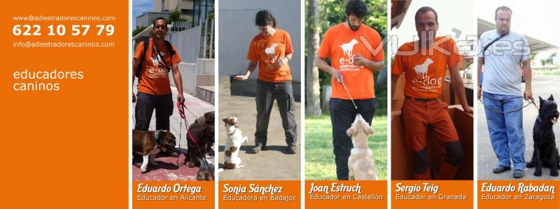 Educadores y paseadores caninos en Alicante, Badajoz, Castelln, Granada y Zaragoza