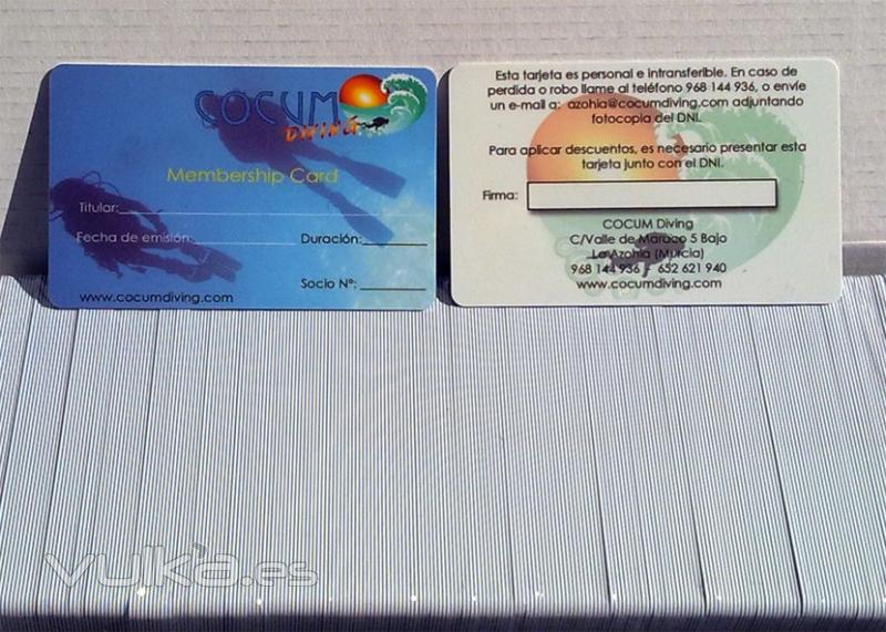 tarjetas pvc