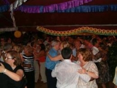 Fiestas mayores 1 wwwdiscomovilparadisecom