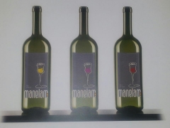 Nuestra selección de vinos: Vino Airen Blanco, Vino Syrac Rosado, Vino Tempranillo Tinto manelam 