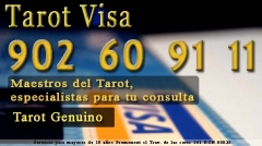 Tarot visa con maestros del tarot tv