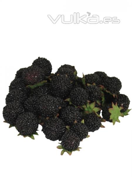 Moras artificiales negras frutas artificiales oasis decor