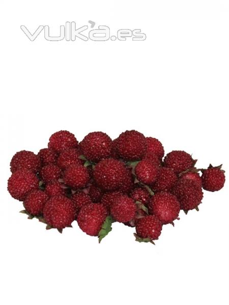 Moras artificiales rojas frutas artificiales oasis decor