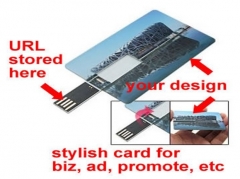Regalo del negocio del promocional tarjeta de usb memorias con el logotipo de su