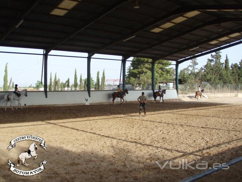 Gran pista cubierta. Gran variedad de caballos de clases.