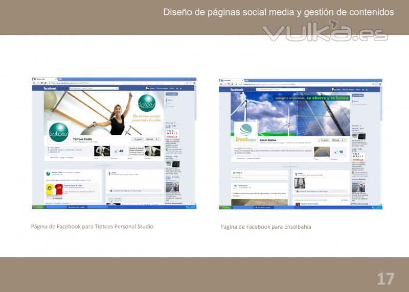 Diseo de pginas social media y gestin de contenidos