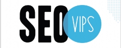 Seo vips: servicios de marketing online - foto 1