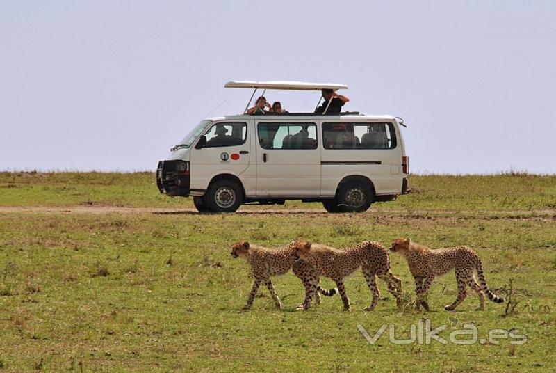 Safari en Kenia