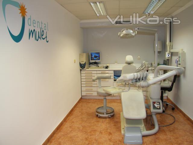 Dental Mulet