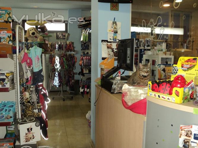 TIENDA Y PELUQUERIA CANINA UTEBO-INMACULADA ARTAZOS