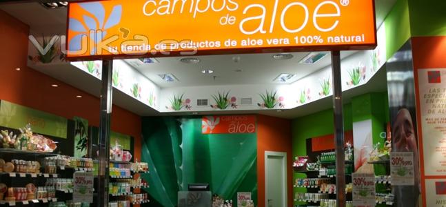 campos de aloe 1