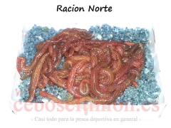 Wwwceboseltimones  - cebos vivos racion norte