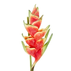 Flores artificiales flor heliconia artificial roja 110 - la llimona home