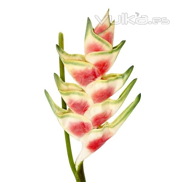 Flores artificiales. Flor heliconia artificial bicolor 110 - La Llimona home