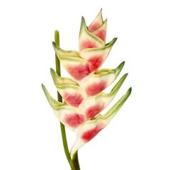 Flores artificiales. flor heliconia artificial bicolor 110 - la llimona home