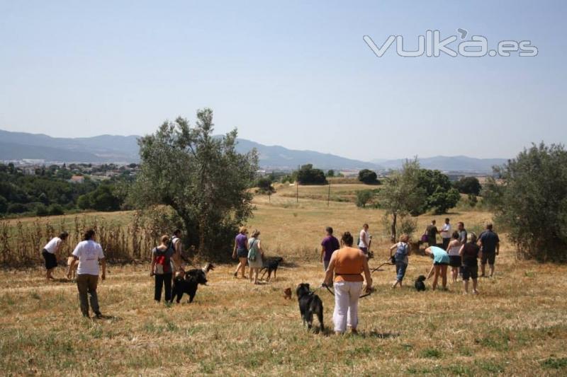 Paseos controlados con educadores caninos de ZonaCan+