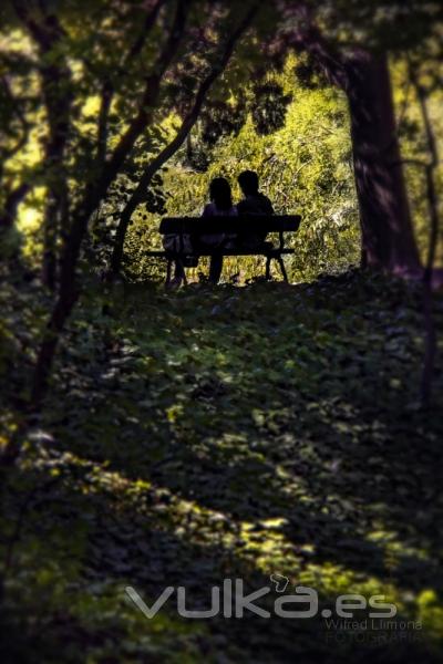 Foto pster Pareja en el jardin por Wifred Llimona en La Llimona  foto