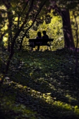 Foto poster pareja en el jardin por wifred llimona en la llimona  foto