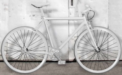 White fixies momabikes, bicicletas