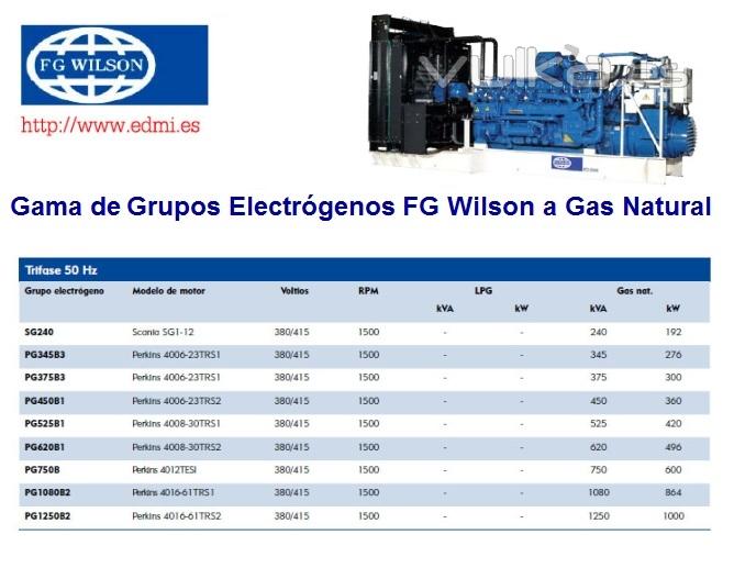 modelos de grupos electrogenos Fg Wilson